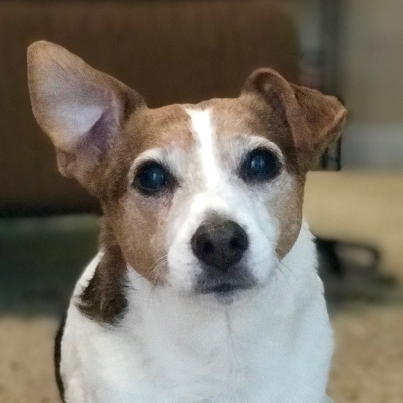 Meet your Posher, Caleb - Picture 1 of 1